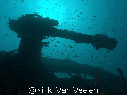 Gun on the Thistlegorm taken with Olympus SP350 by Nikki Van Veelen 
